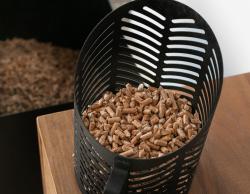 Pelle granulé Basic dessus